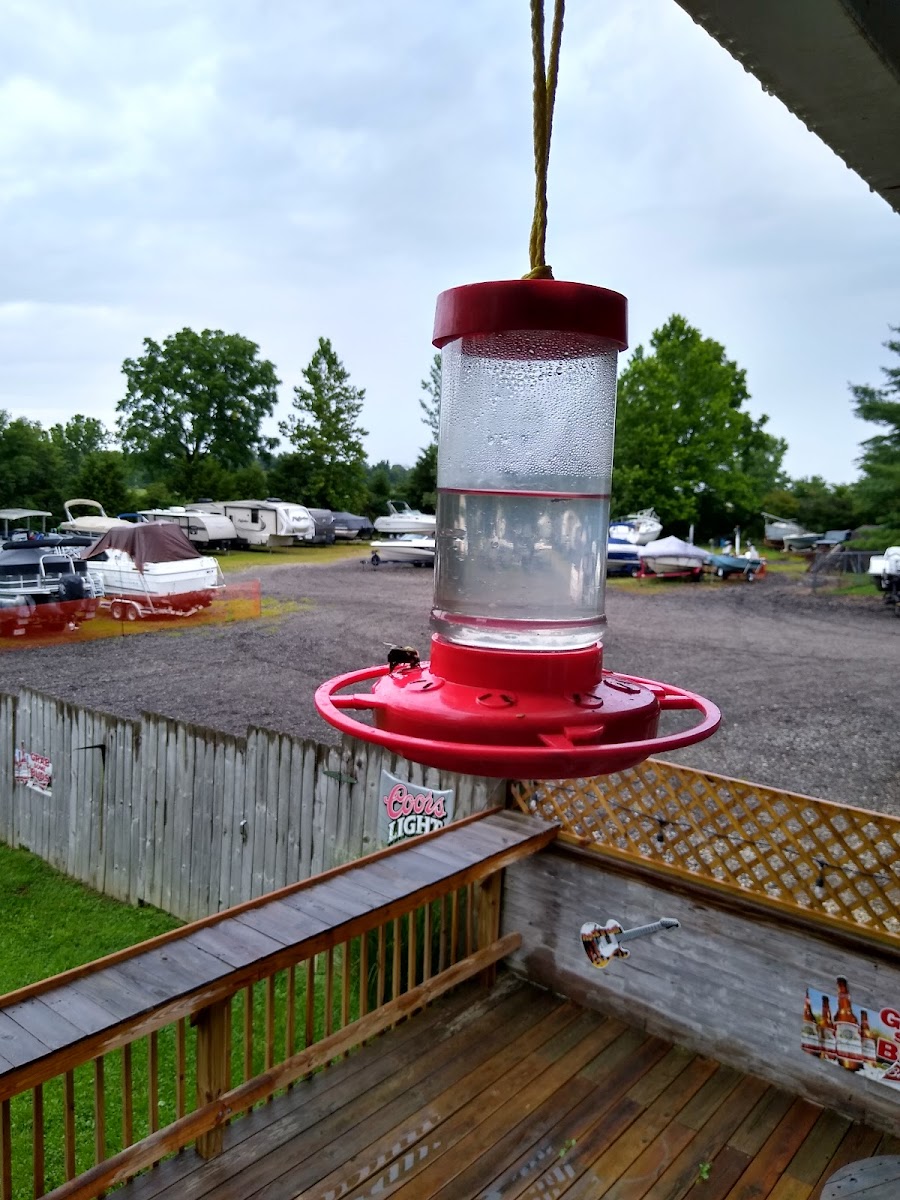 Jays Midlake Bait.Tackle.Restaurant - Photo 7