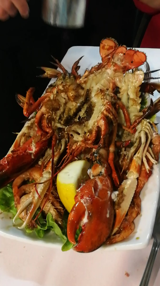 Karlo's itsaskitegia - Photo 1