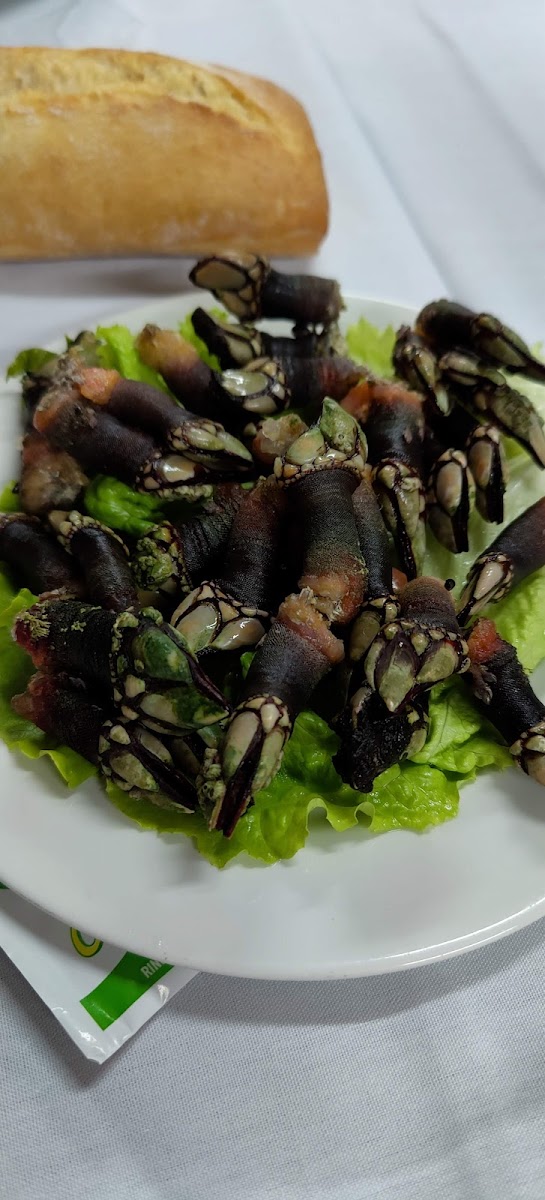 Karlo's itsaskitegia - Photo 6