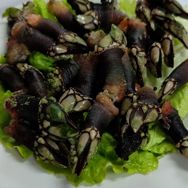 Percebes