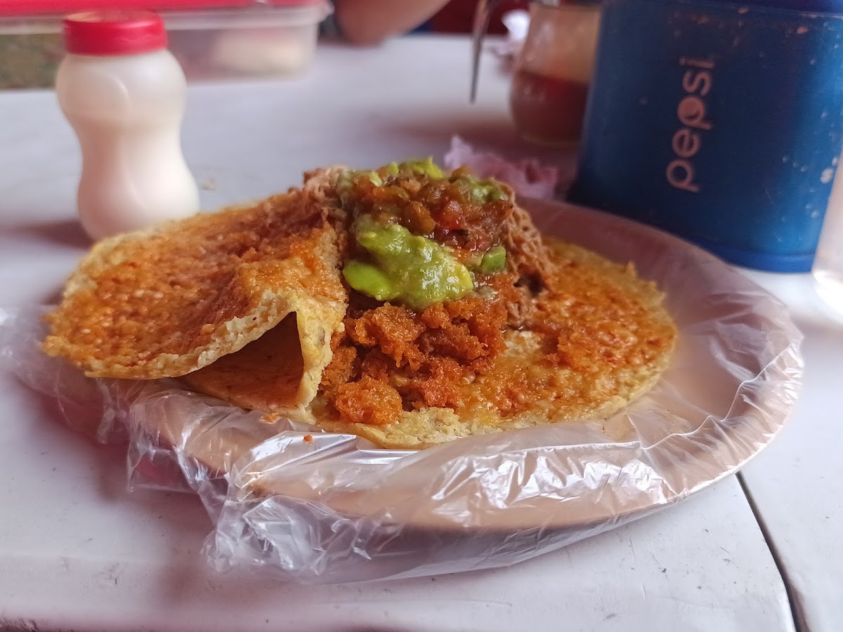 Gorditas y quesadillas doña mary