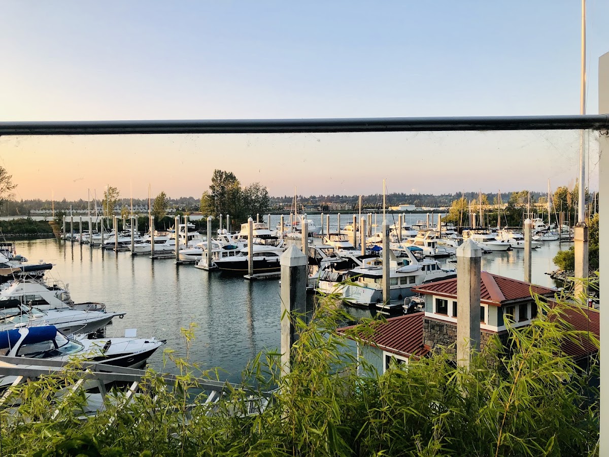 3 Sheets at the Harbor - Photo 3
