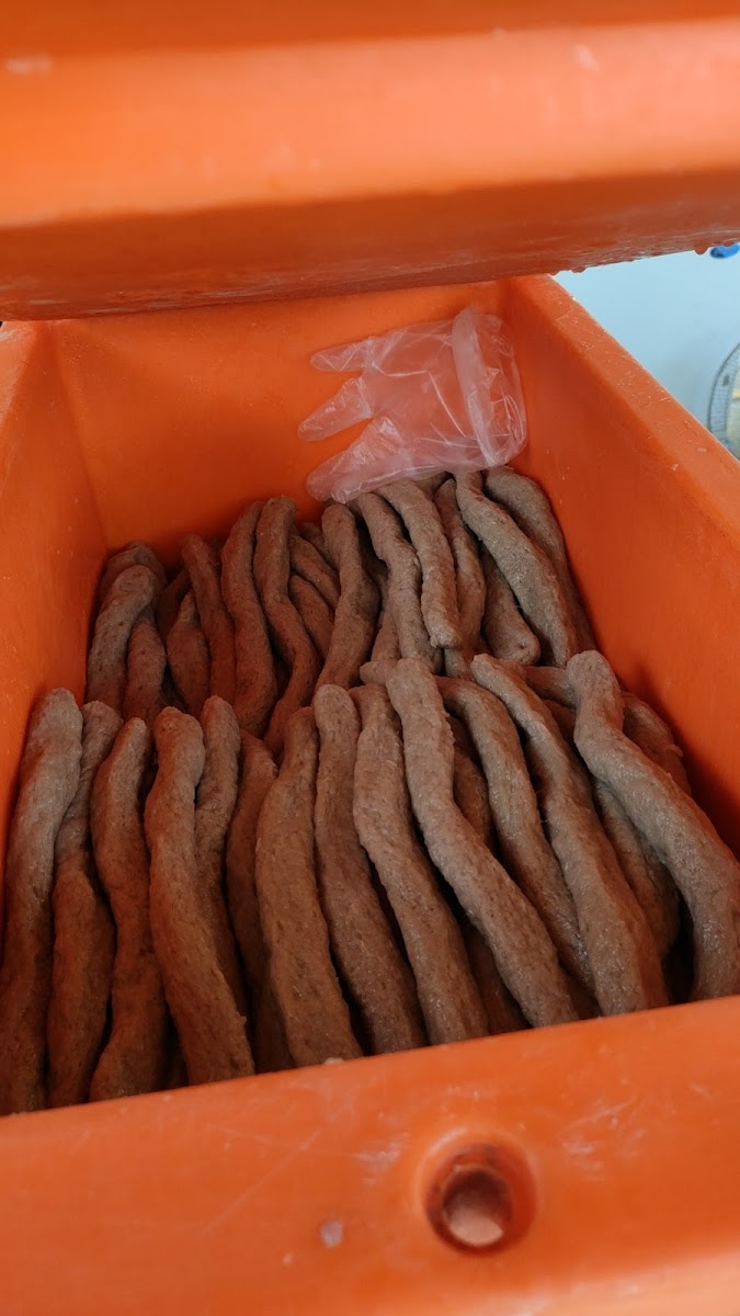 Kepok Ori Mat Adang - Photo 5