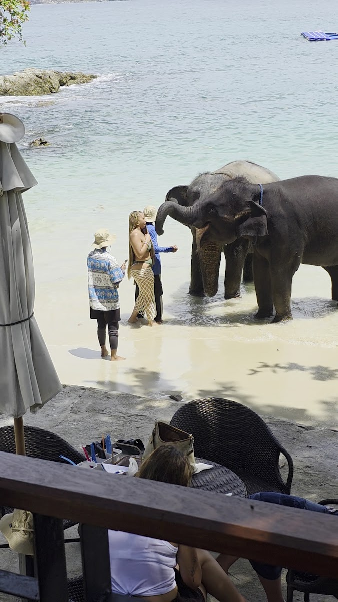 Splash Cafe and Restaurant Phuket - Photo 1