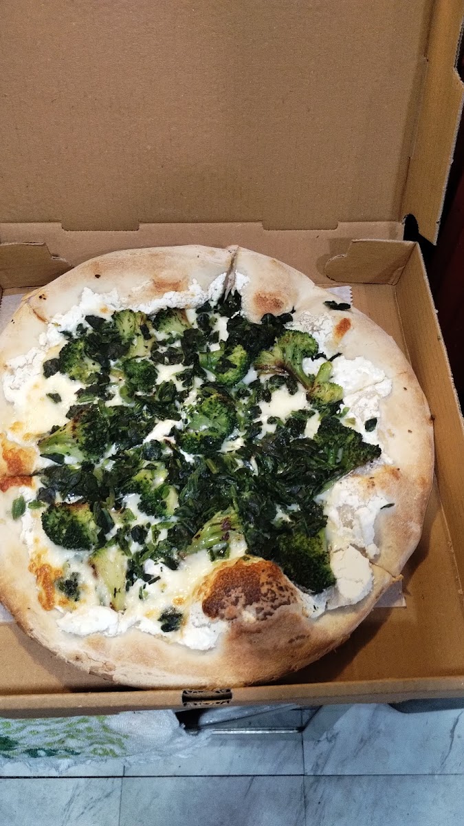 Sophia's Pizzeria - Photo 6