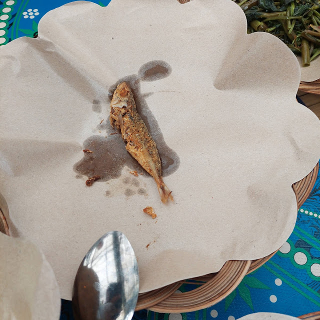 Ikan Peda