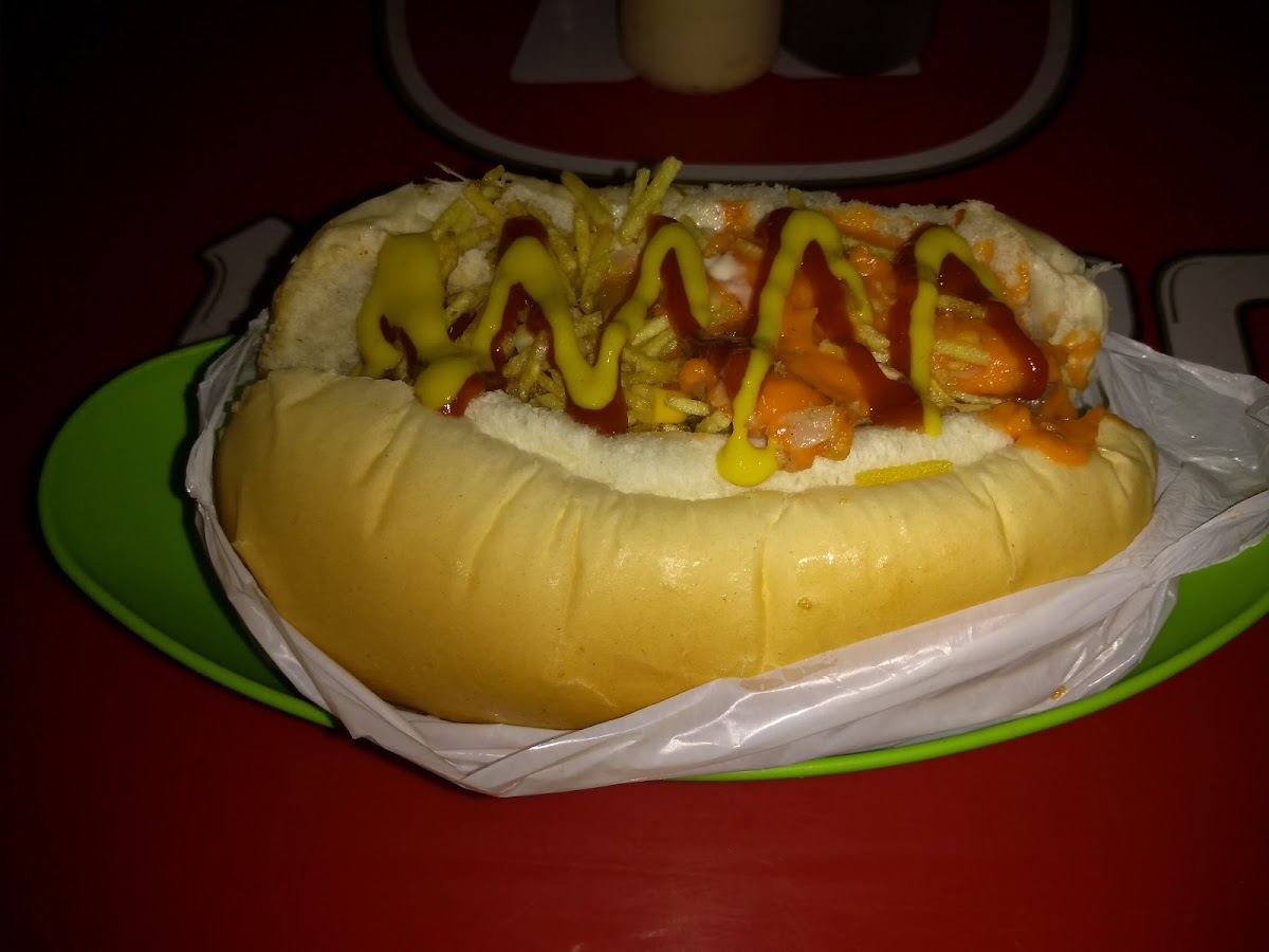 Dog Gordinho - Photo 4