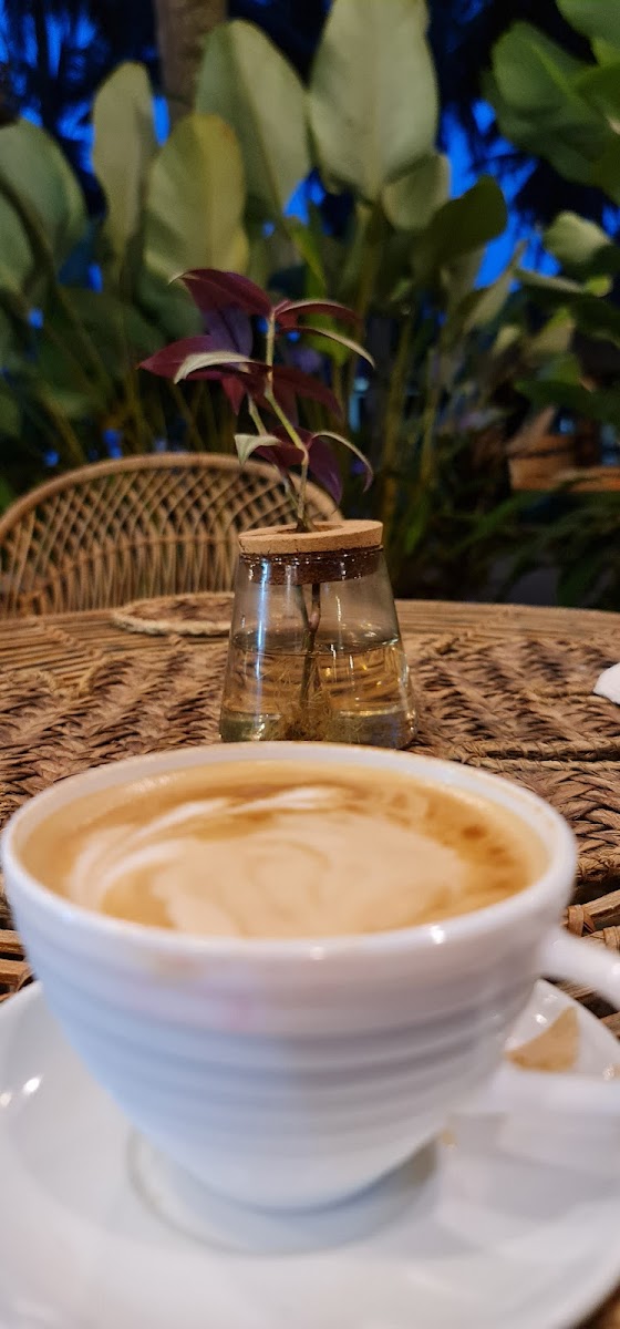Kape Zebra - Photo 9