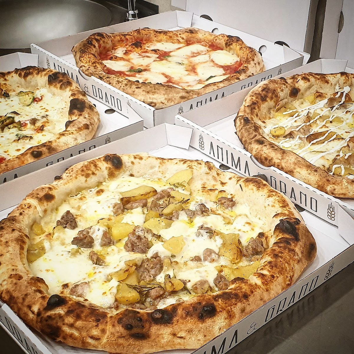 Anima e grano - Pizzeria d'asporto - Photo 2