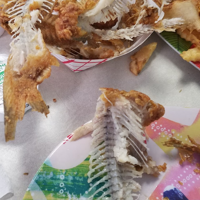Catfish Happiness