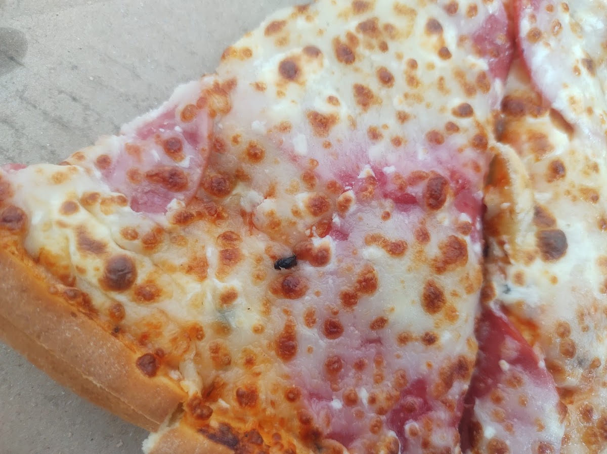 Cheese Pizza San Francisco de los Romo - Photo 9