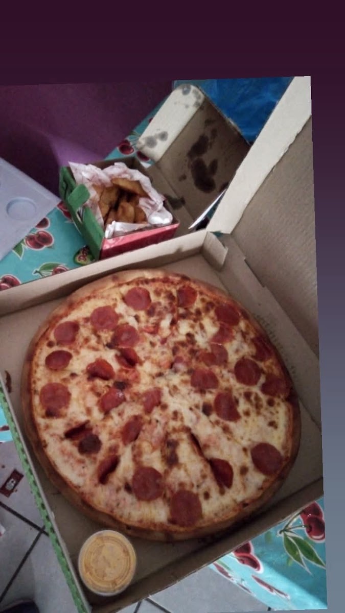 Cheese Pizza San Francisco de los Romo - Photo 8