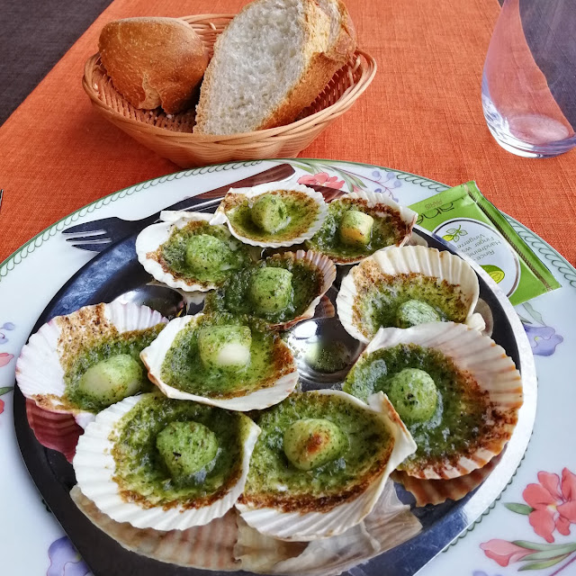 Scallops