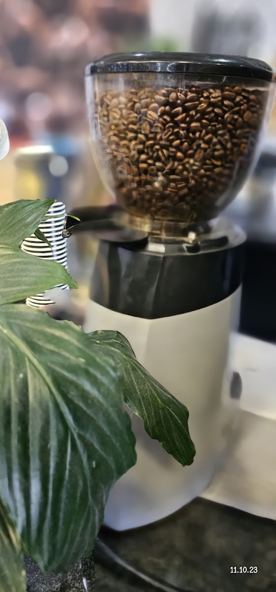 Bean Tree Coffee Shop PLATTEKLOOF SPAR - Photo 6