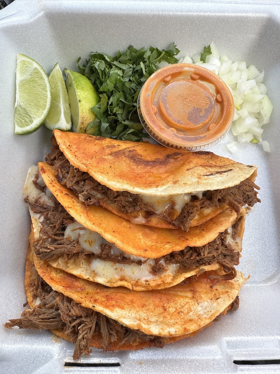 Taquería El Chapulin Llc - Photo 5