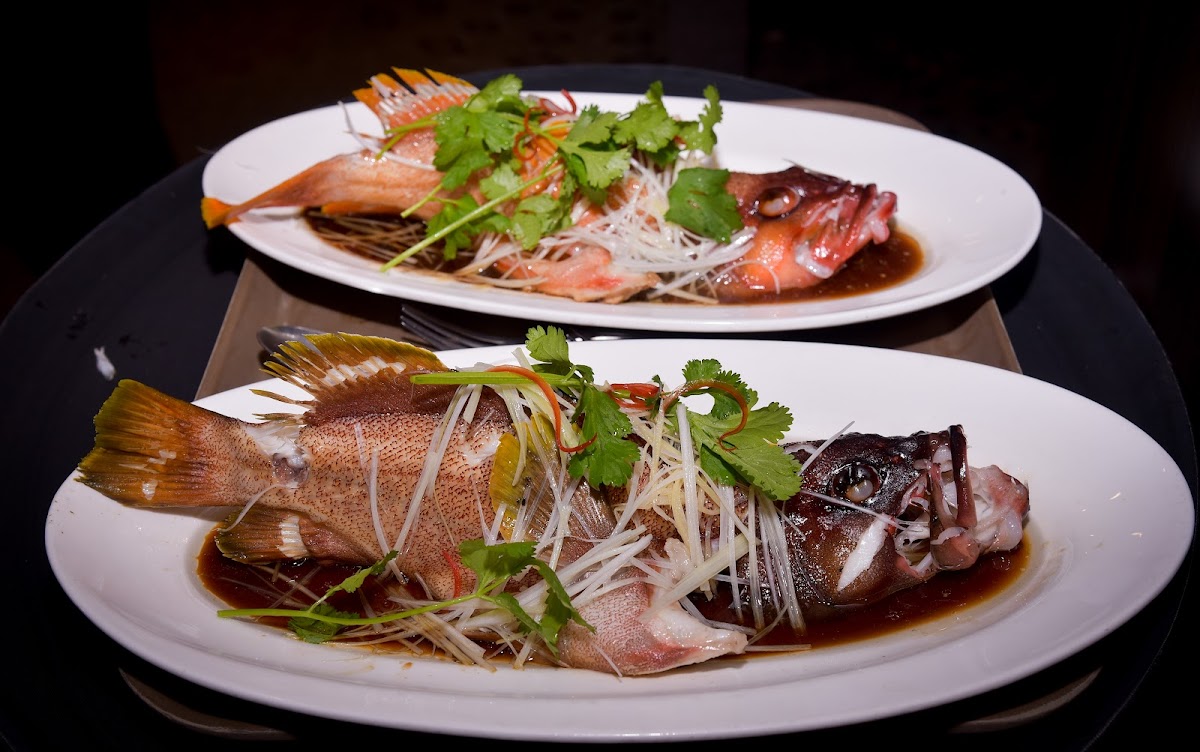 TaoTaoJu 陶陶居 (Formerly, Tao's Kitchen) - Photo 4