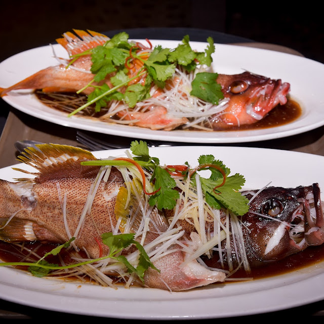 Steam Live Fish in Light Soy Sauce