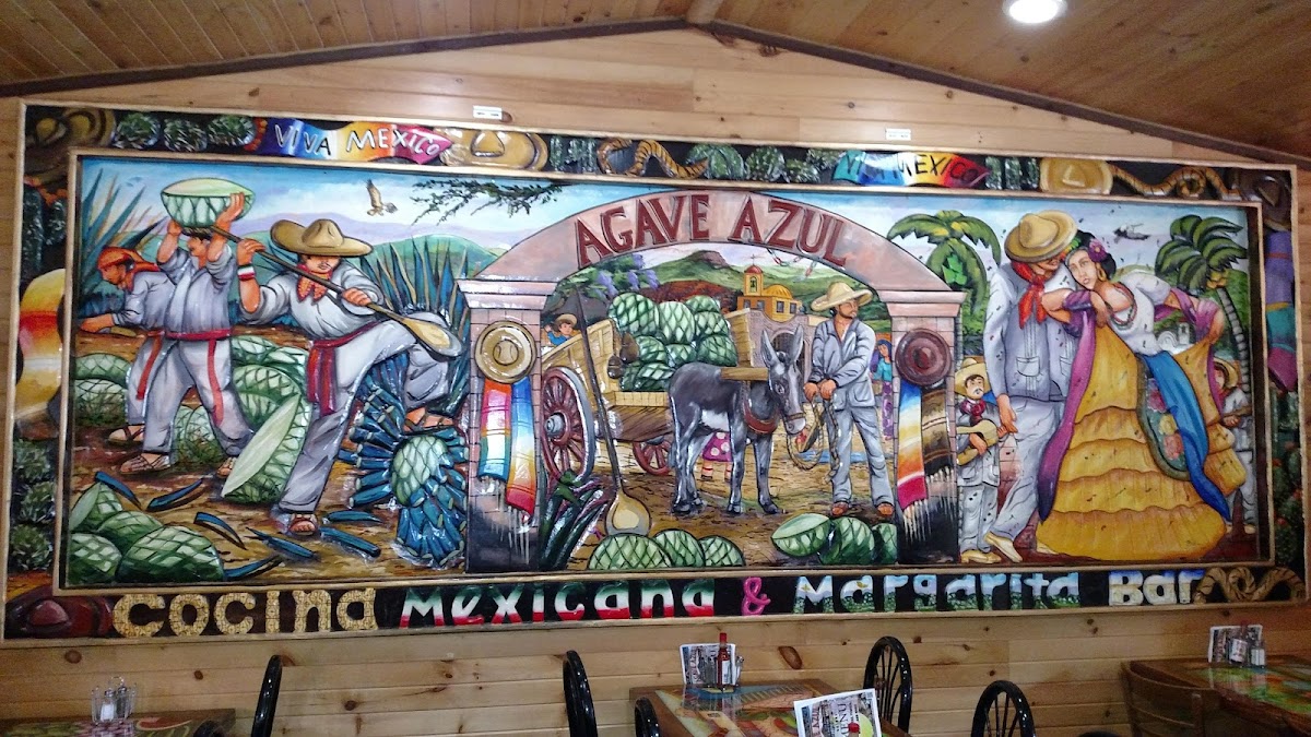 Agave Azul - Photo 3