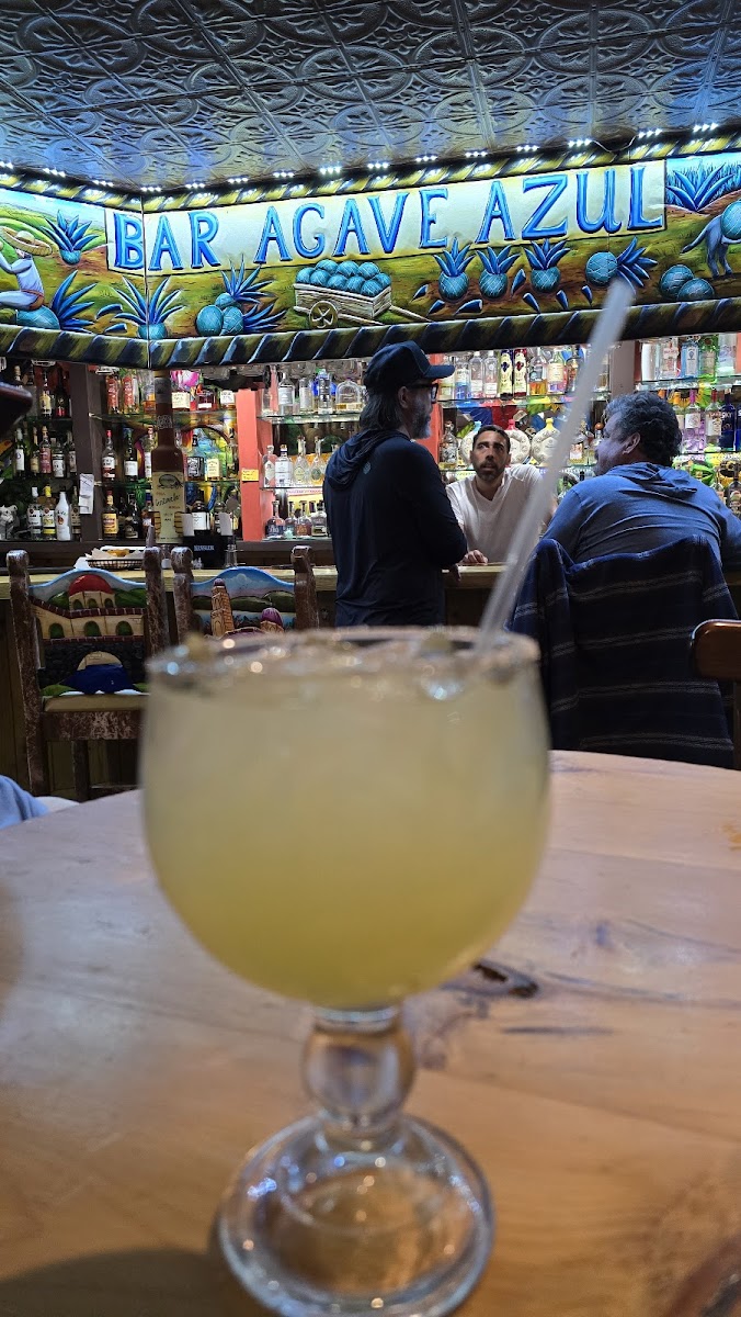 Agave Azul - Photo 5