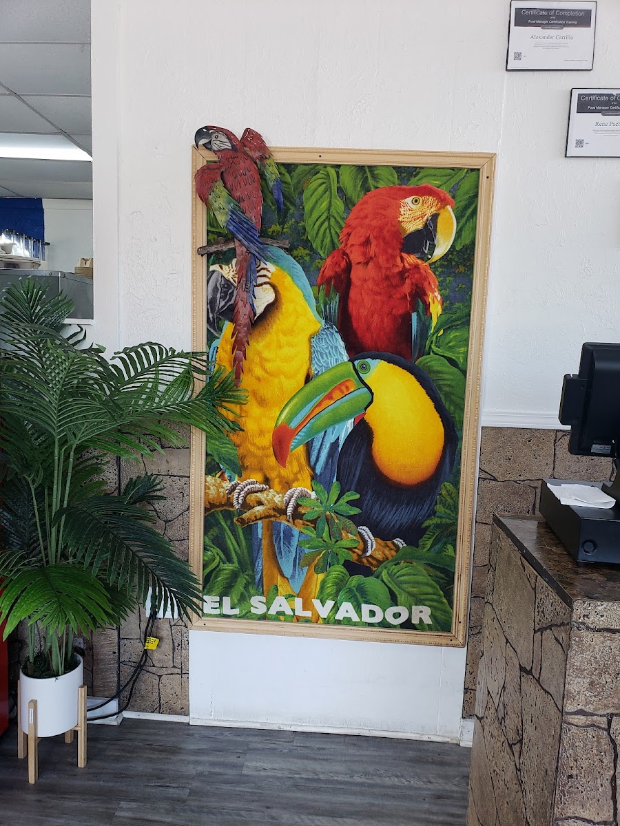 Sabor Latino - Photo 4