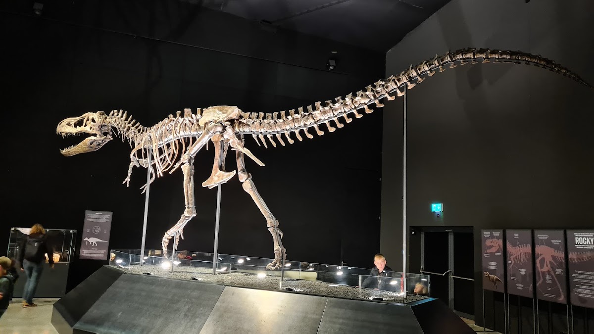 Restaurant im Dinosaurier Museum Altmühltal - Photo 3