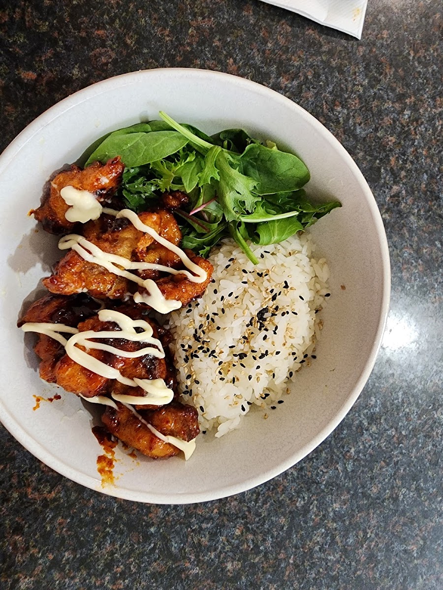 Oriental Bowl - Photo 2