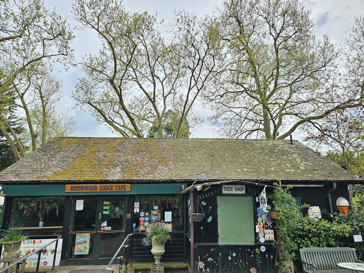 Roundwood Lodge Cafe - Photo 3