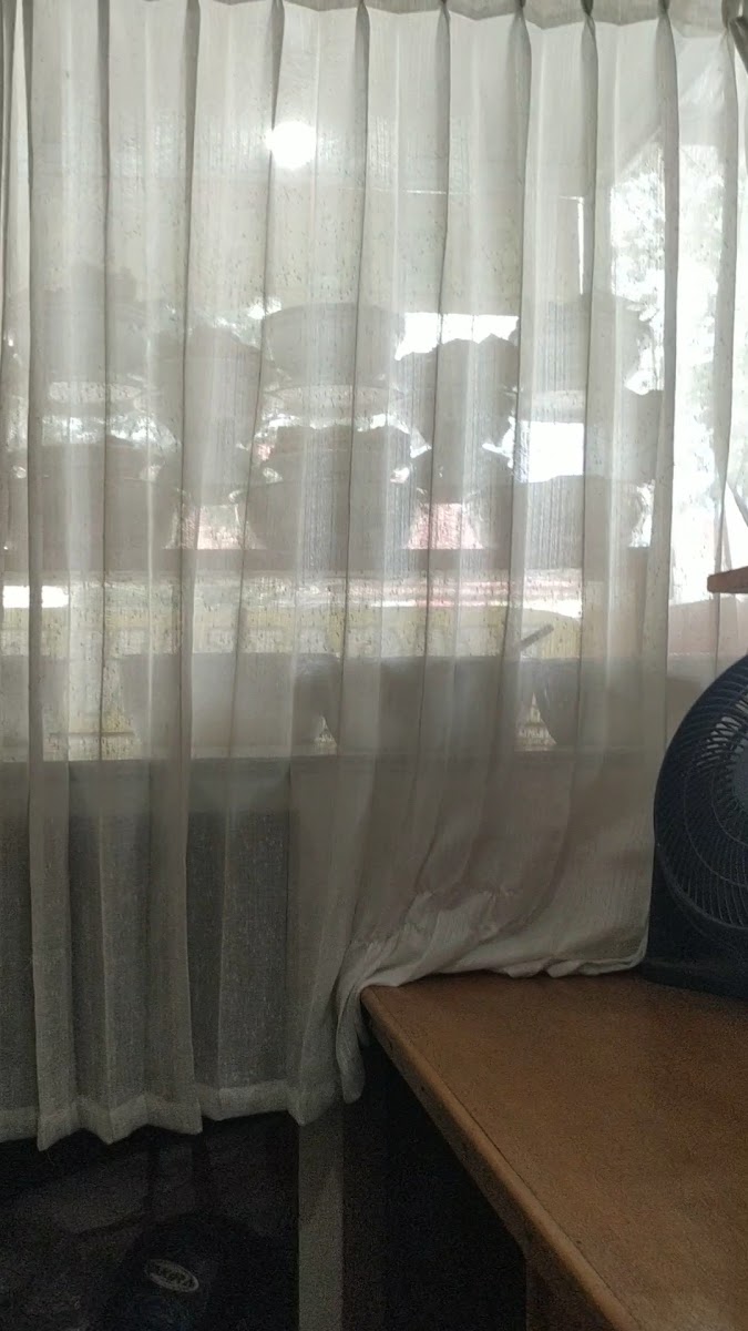 RM Seribu Sayang Loa Bakung - Photo 1