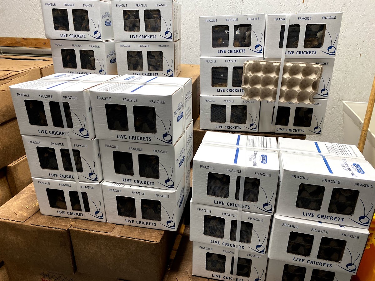 K & M Coffee, Corks, & Camo - Photo 3