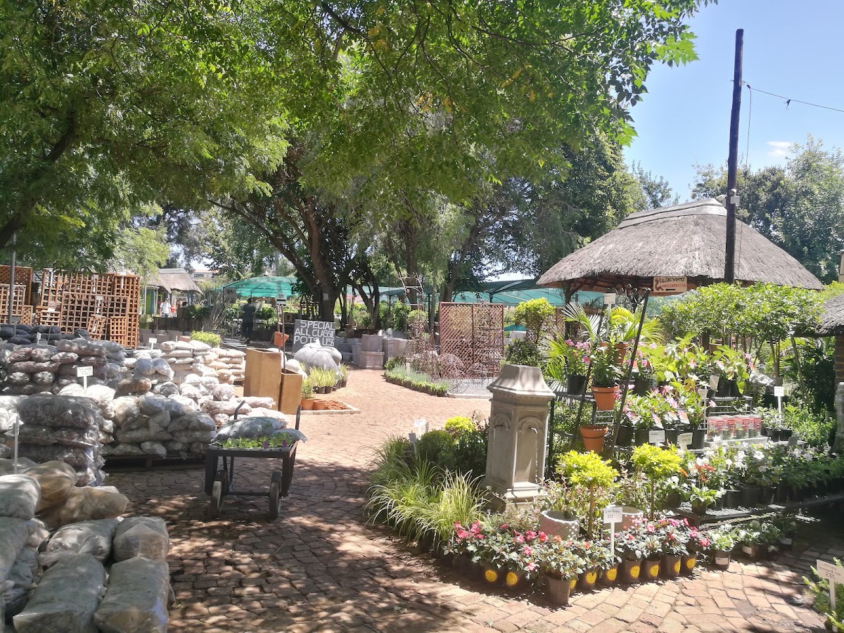 JaJa Tea Garden - Photo 3