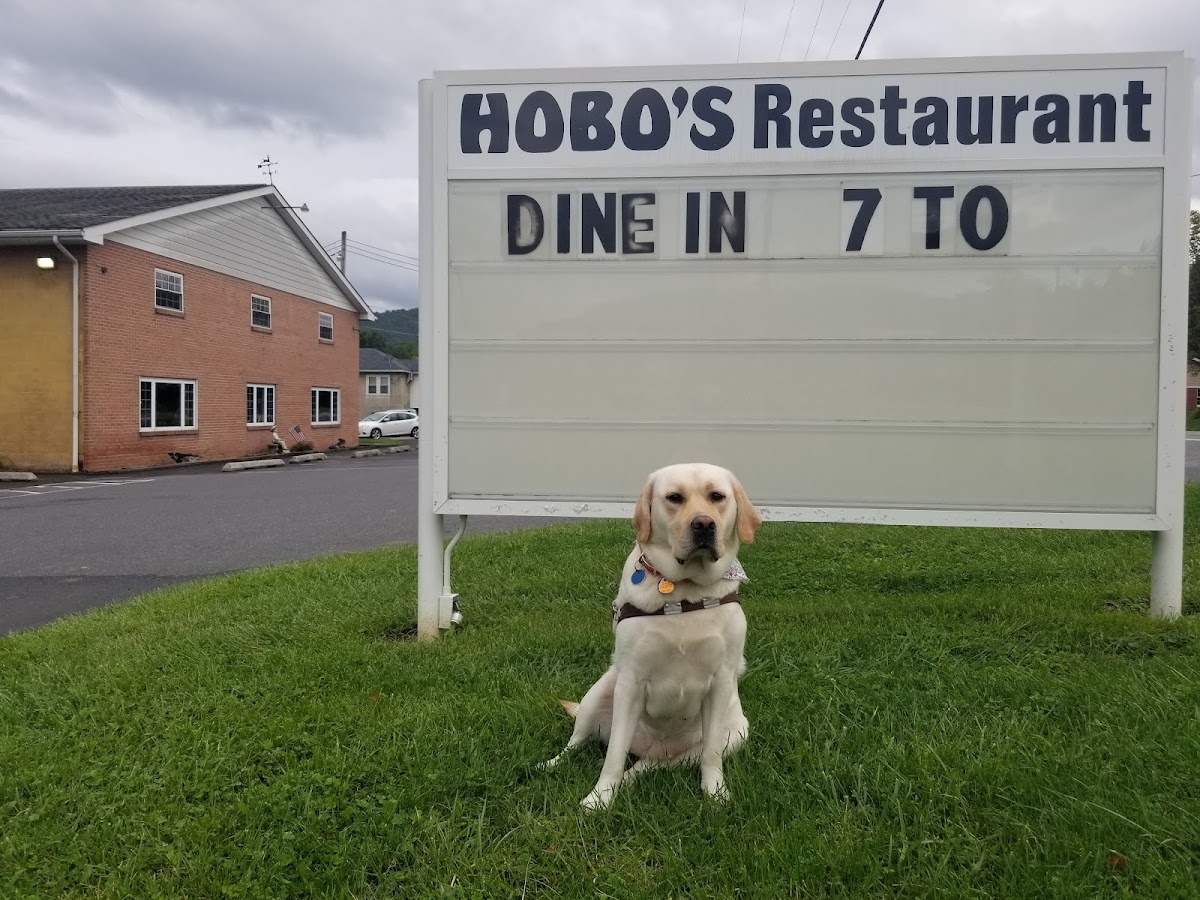 Hobo's Family Restaurant - Photo 4