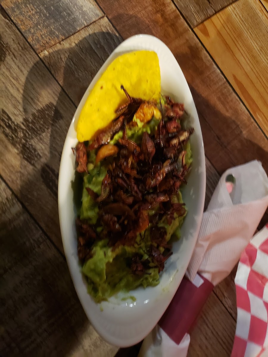 Oaxaca Cuisine Bar & Grill - Photo 4