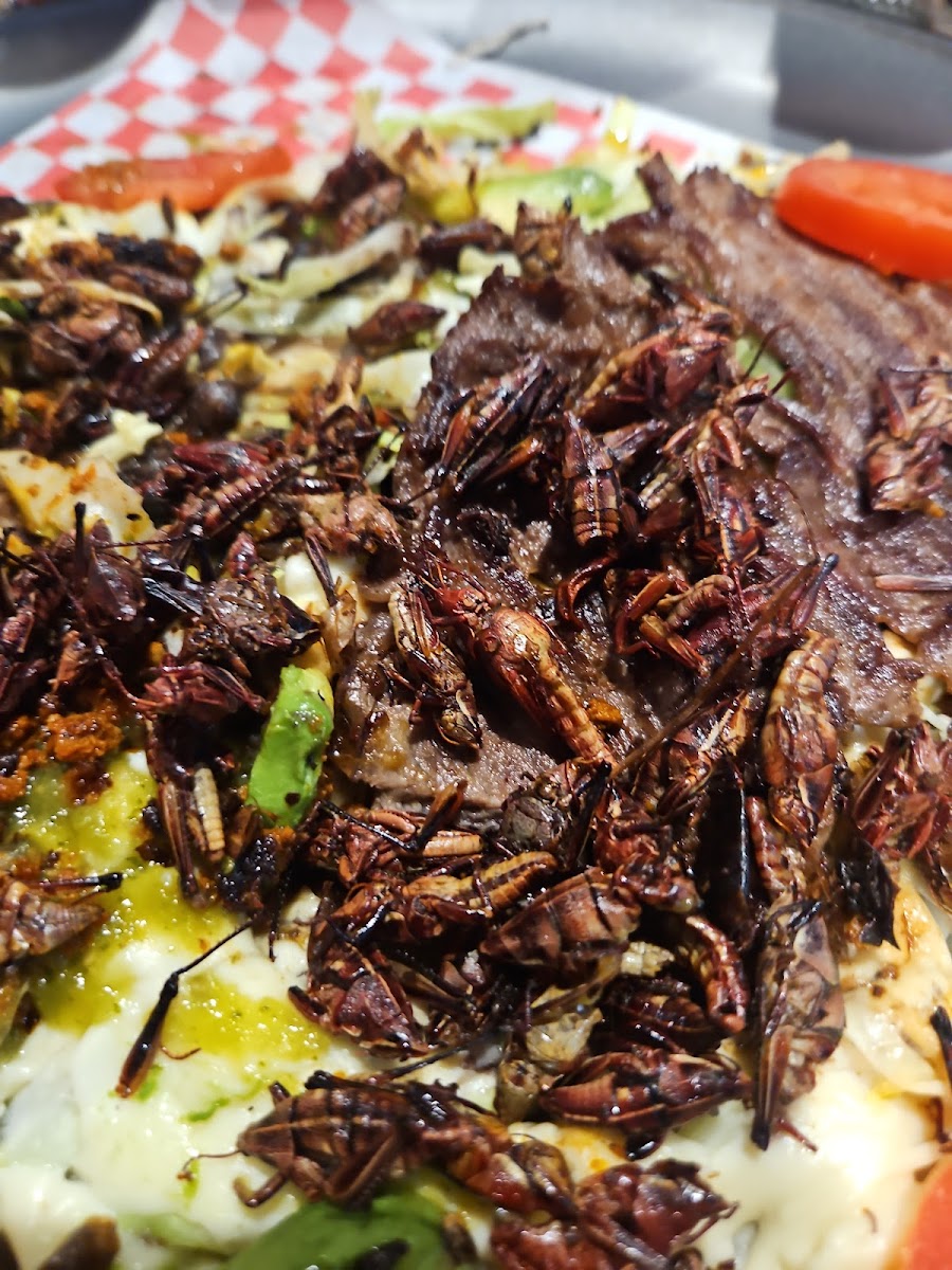 Oaxaca Cuisine Bar & Grill - Photo 8