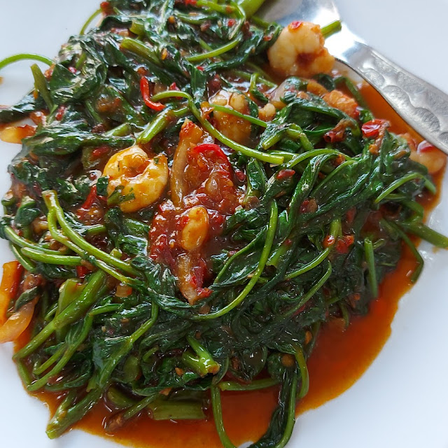 Fried Belacan Kangkong