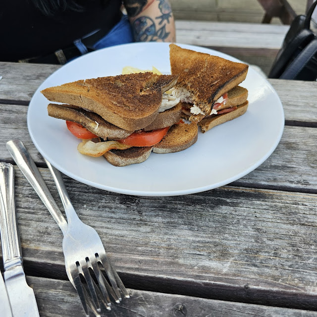 Gluten Free Sandwich