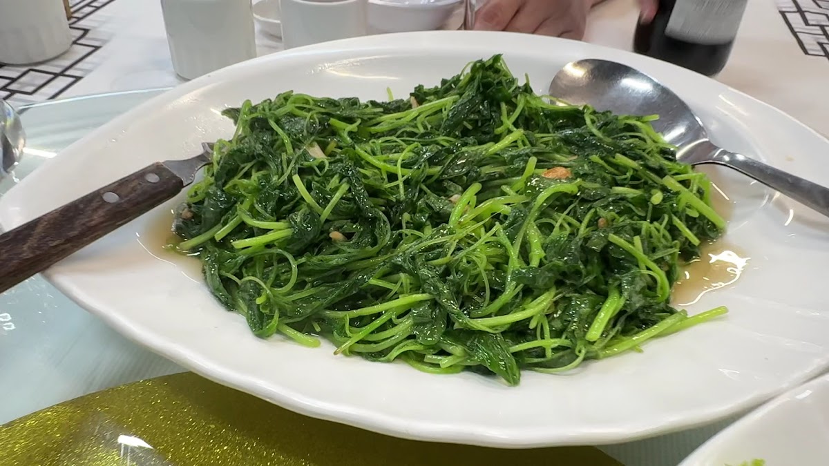 Restaurant Mactra (M) 富私房菜 - Photo 1