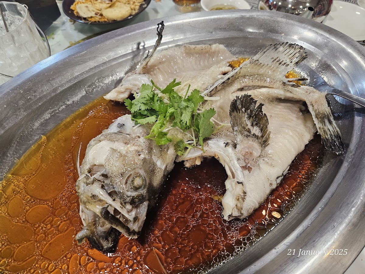 Restaurant Mactra (M) 富私房菜 - Photo 5