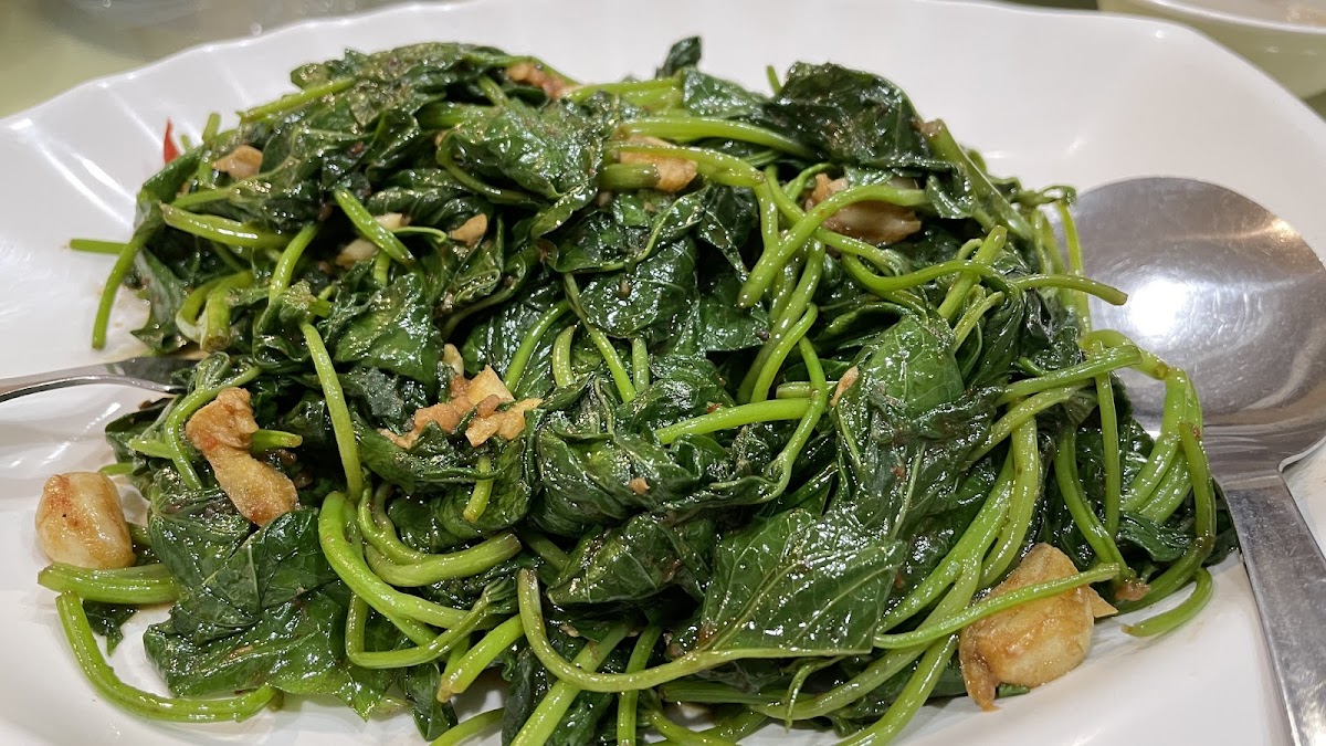 Restaurant Mactra (M) 富私房菜 - Photo 6