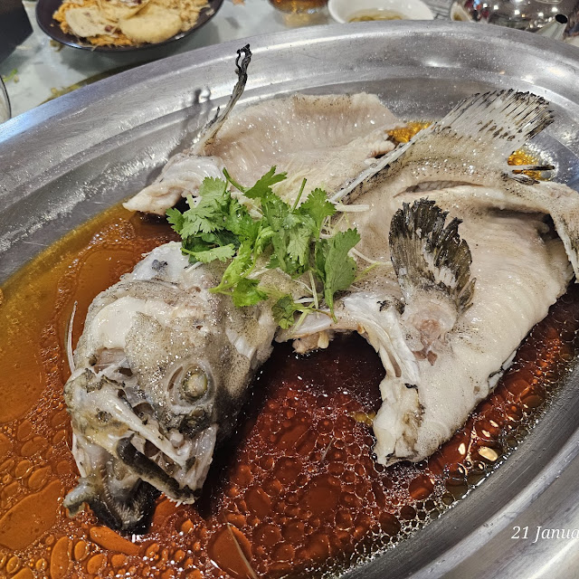 Steamed Grouper