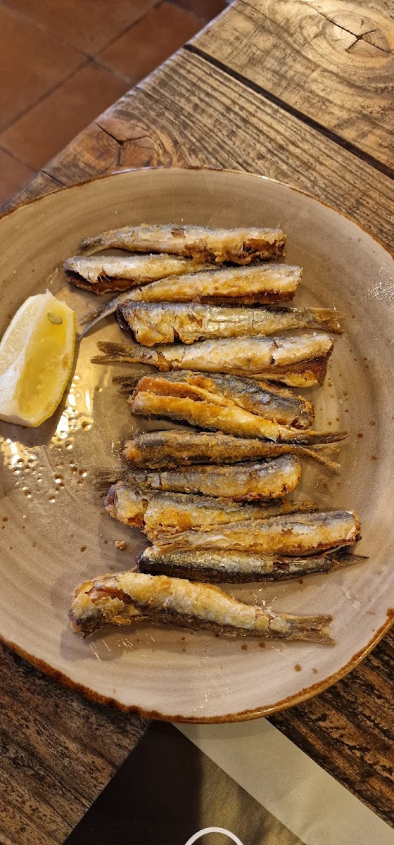 Carbo Negre - Photo 6
