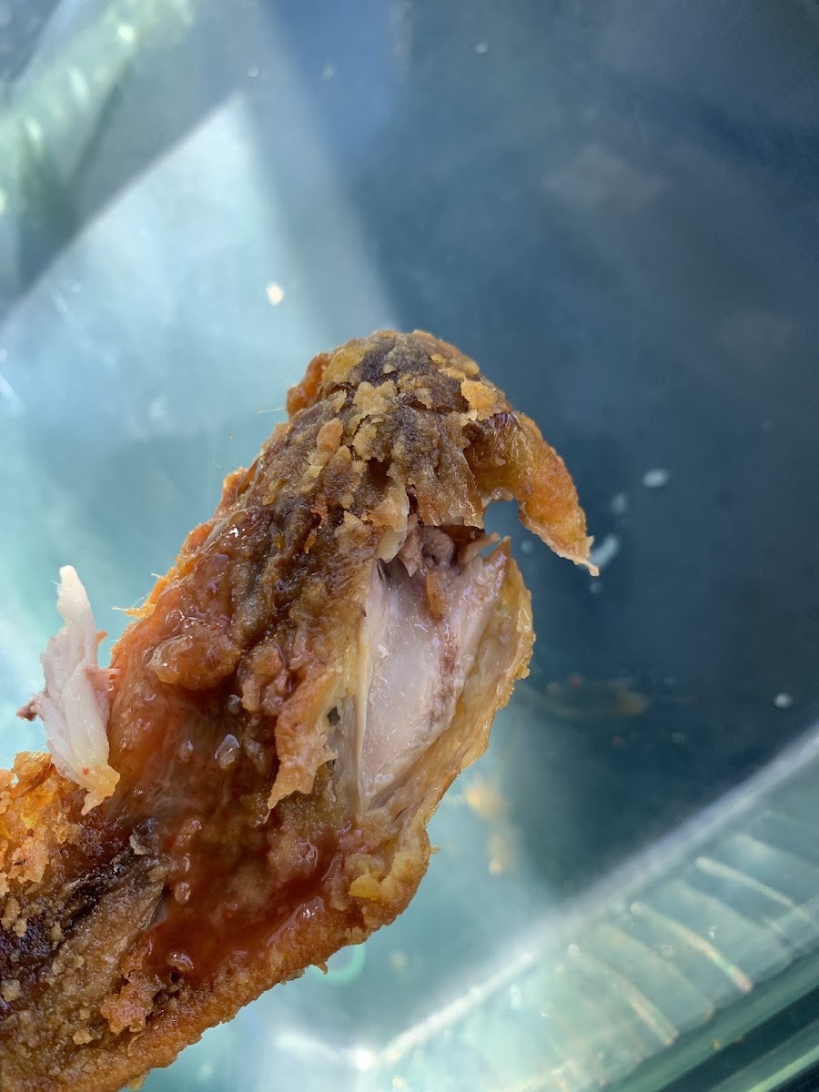 China Wok - Photo 6