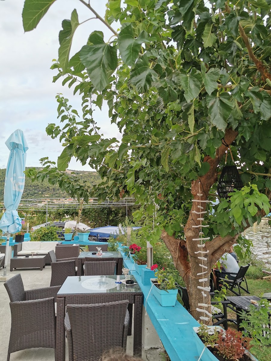 Food & Bar Punta Artic