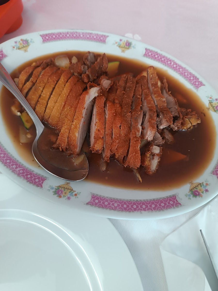 Pato Pekin Duck - Photo 2
