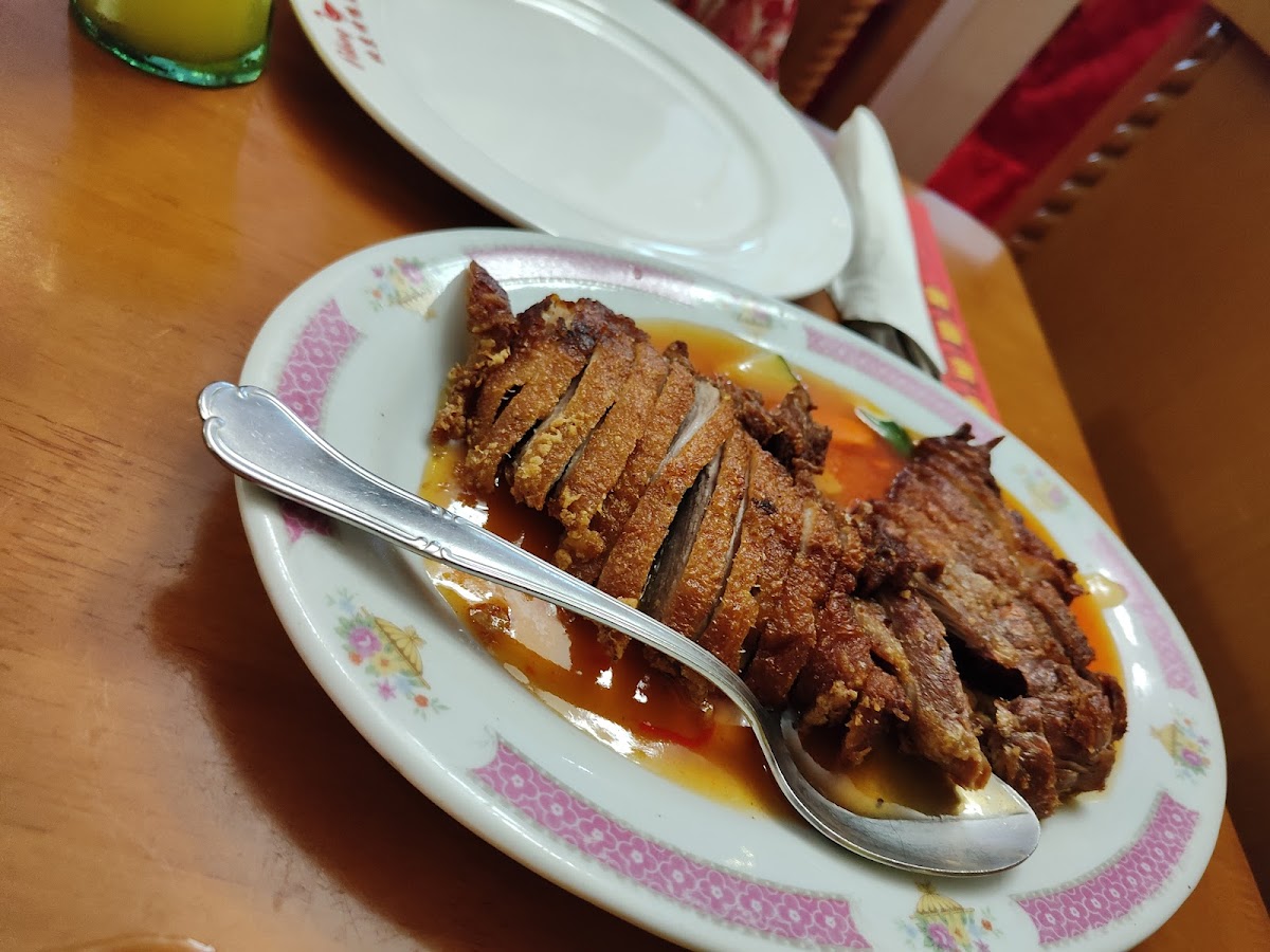 Pato Pekin Duck - Photo 4