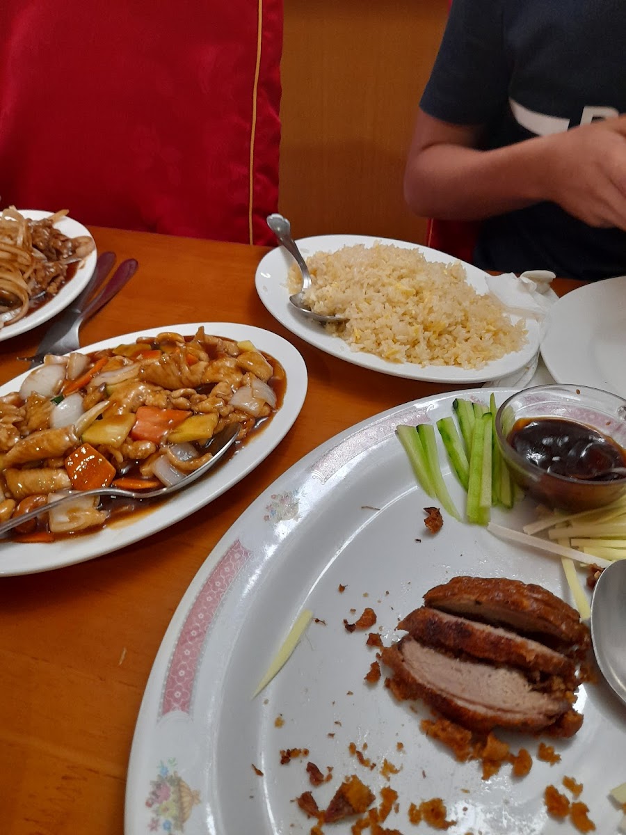 Pato Pekin Duck - Photo 7