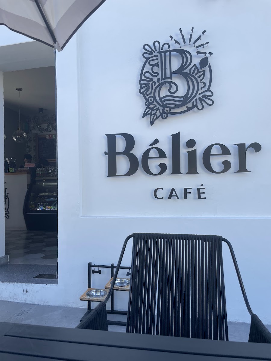 Café Bélier - Photo 2