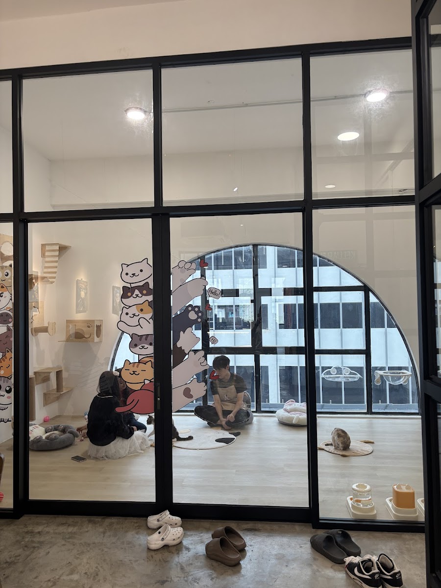 CATFE CAFE