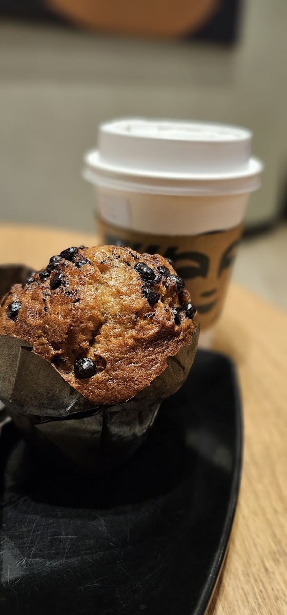 Starbucks Eco Horizon DT - Photo 5