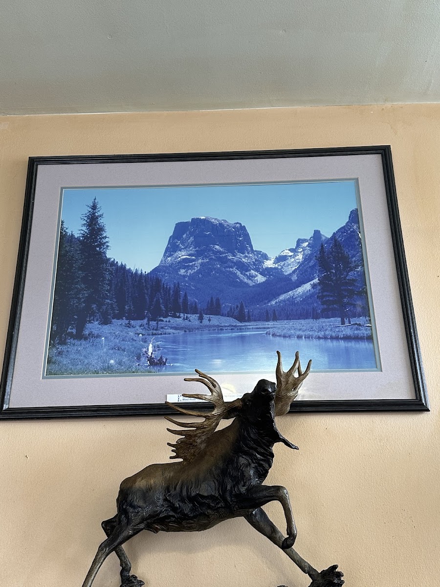 Scroungy Moose Pizza - Photo 3