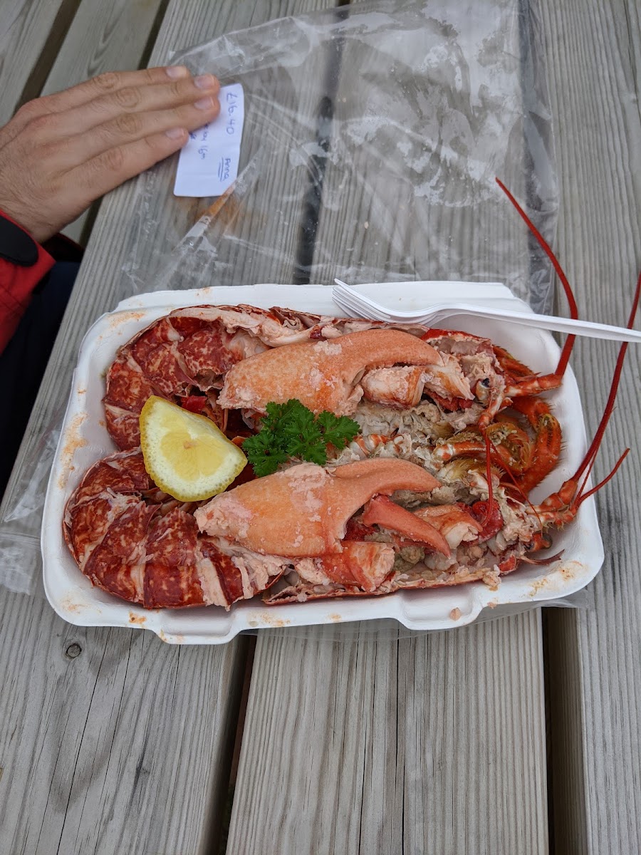 Something Fishy - Photo 6